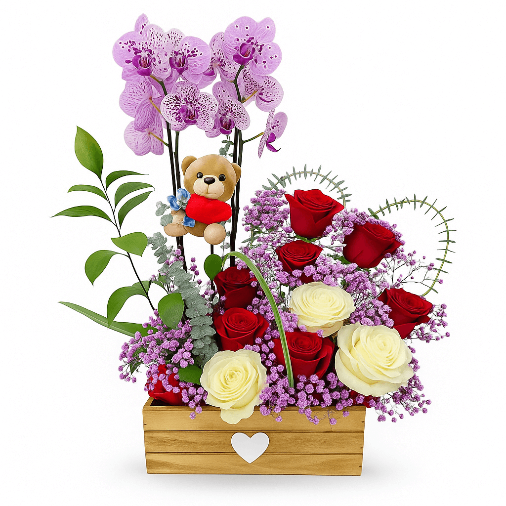 Centro de Orquídea, Rosas Rojas, Rosas Blancas y Peluche