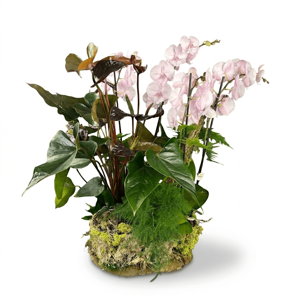 Centro de Orquídeas Rosadas